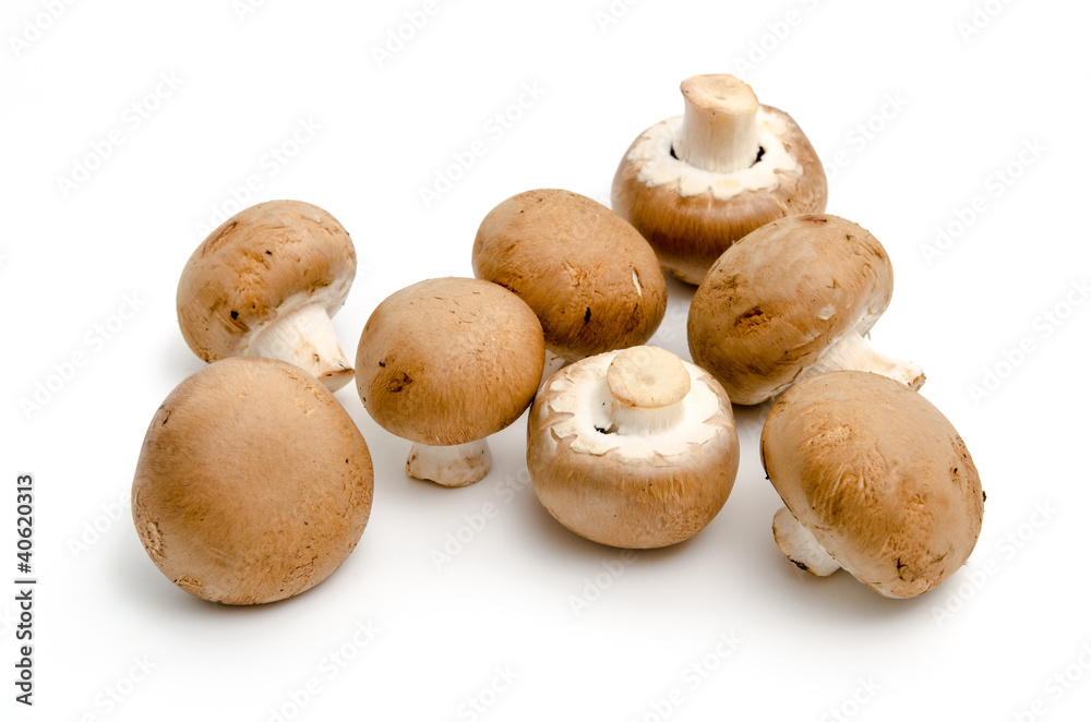 Braune Champignons Braune Champignons
