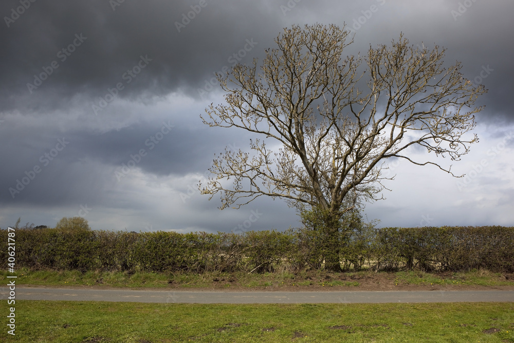 stormy landscape