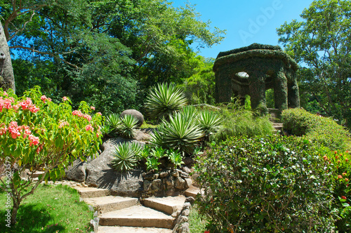 Botanical garden. Rio de Janeiro