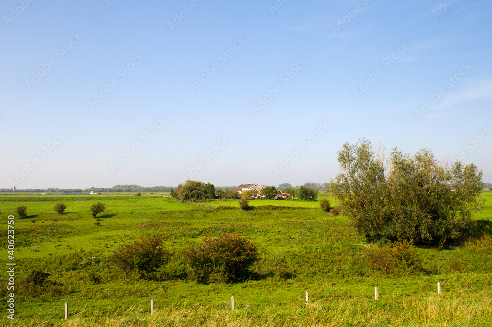 Dutch landscape with meadows