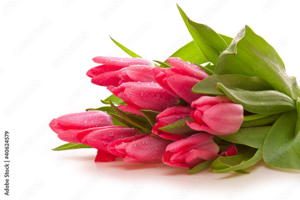 Blumenstrauss,Tulpen Blumenstrauss,Tulpen