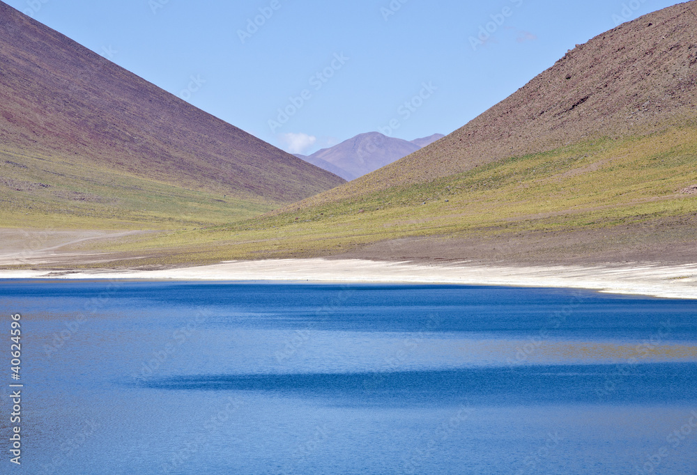 Miniques Lagoon in Altiplano Chile