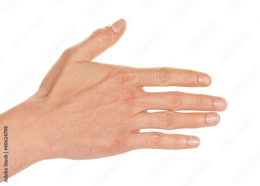 Hand