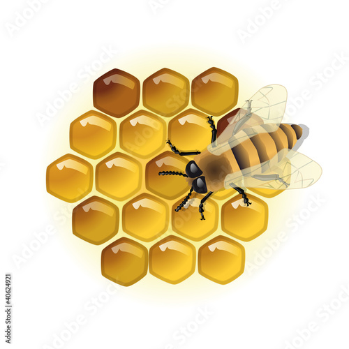 Ruche_abeille_Symbole
