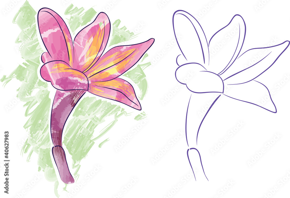 Naklejka premium Orchid Flower