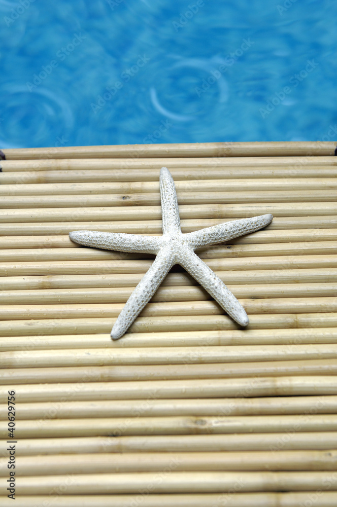 starshell on bamboo mat in the swimming pool starshell on bamboo mat in the swimming pool