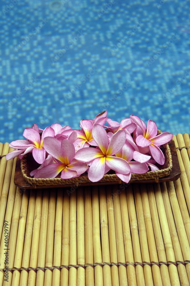 frangipani flowers in bowl on mat in the swimming pool frangipani flowers in bowl on mat in the swimming pool