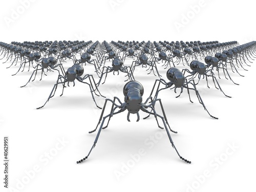 Wedge form Army of ants on white isolated background 