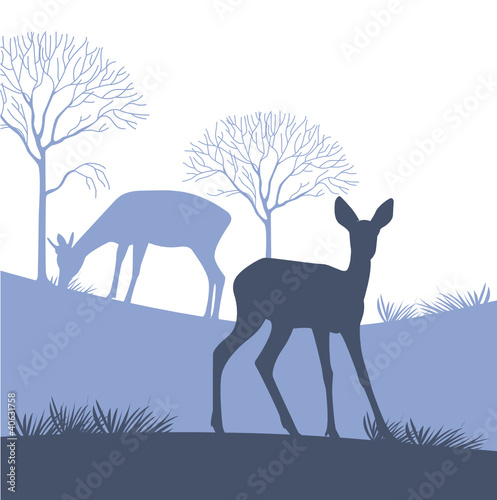 bambi