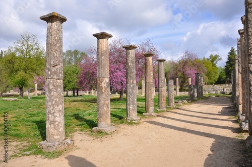 Palestre d'Olympie