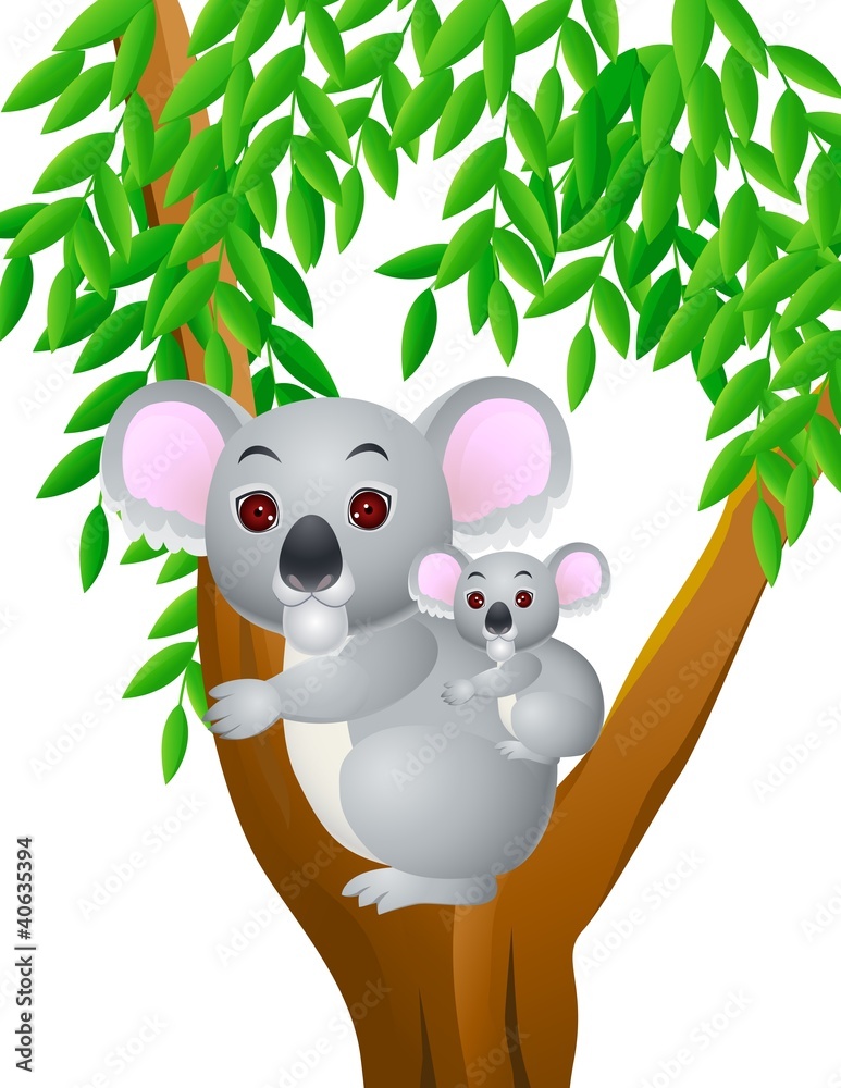 Obraz premium Mother and baby koala