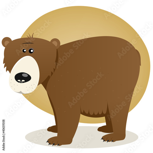 Brown Bear