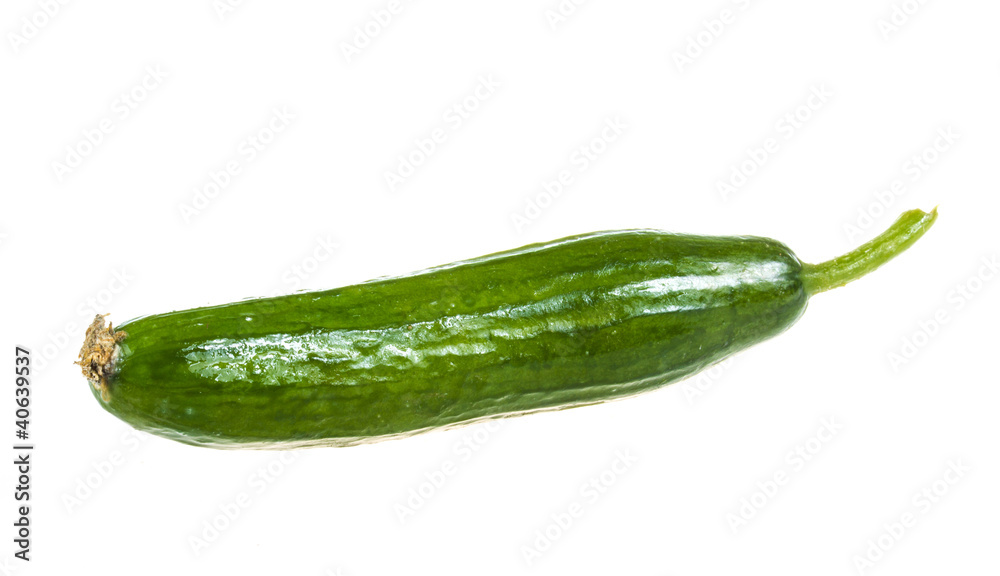 Cucumber isolated on white background Cucumber isolated on white background