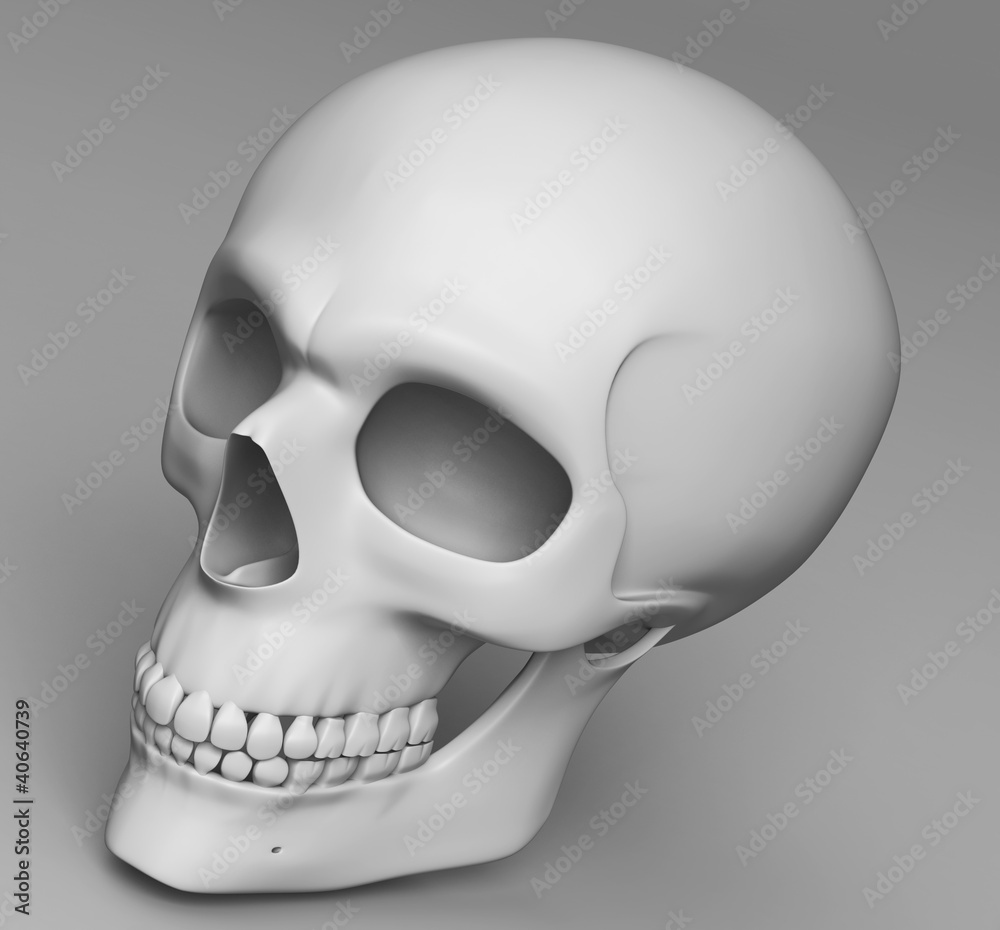 Obraz premium a skull with simple texture face to leftside