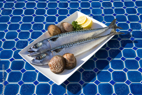 Makrelen und Muscheln