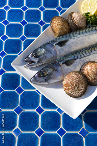 Makrelen und Muscheln