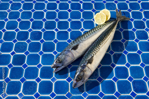 Makrelen bereit zum Grillen