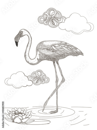 flamingo sketch