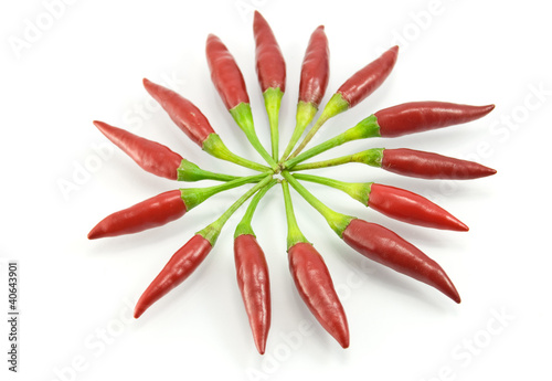 Red pepper on a white background