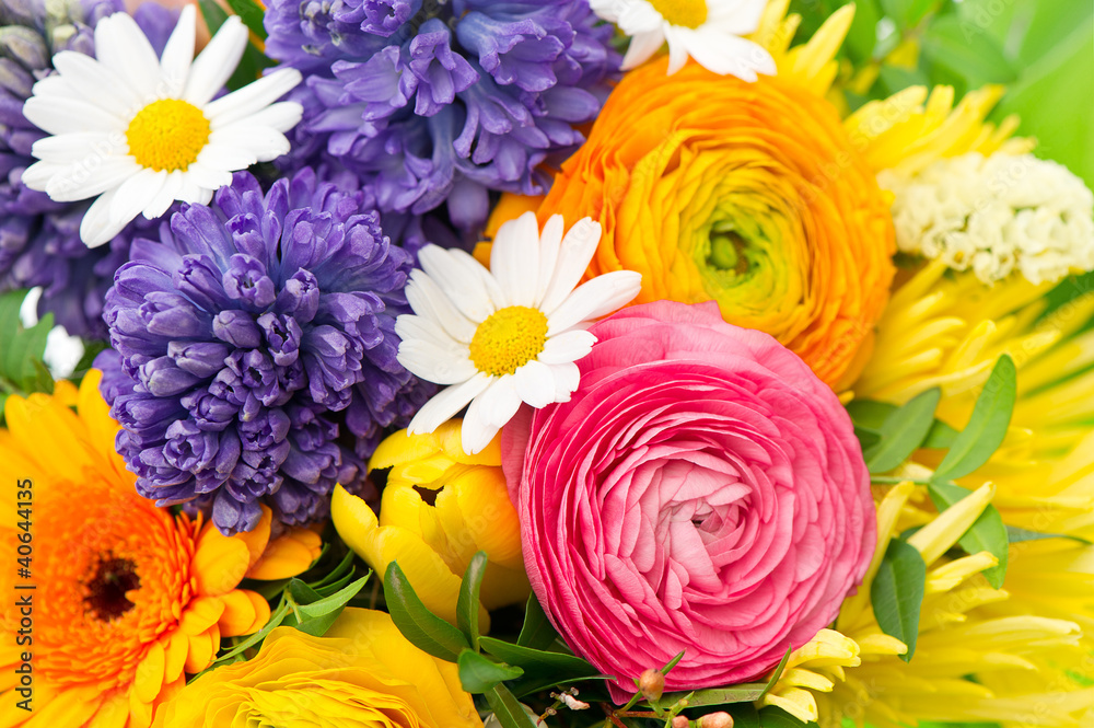 beautiful bouquet of colorful spring flowers beautiful bouquet of colorful spring flowers