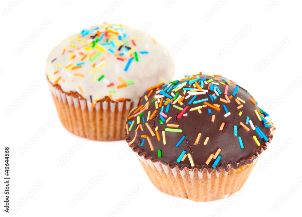 cupcake isolated cupcake isolated