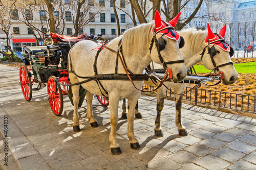 Fiaker horse carriage in Vienna, Austria