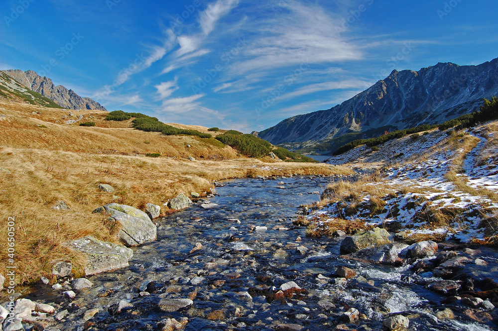 Mountain stream in 5 lakes valley of High Tatras in autumn