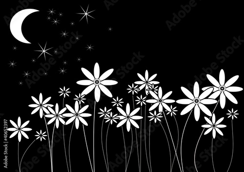 fondo floral