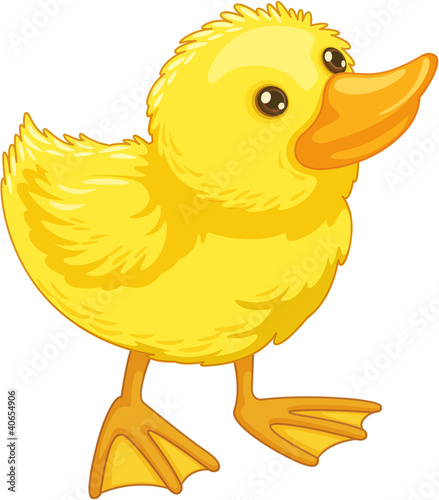 cute cartoon duck
