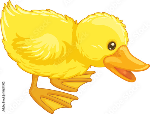 cute cartoon duck