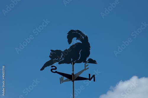 фотографія Weather Vane