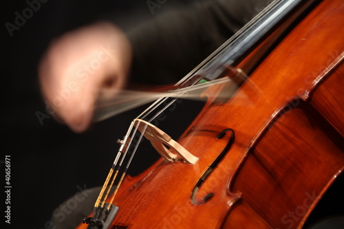 violoncelliste photo