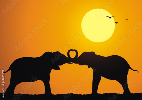 Elephants