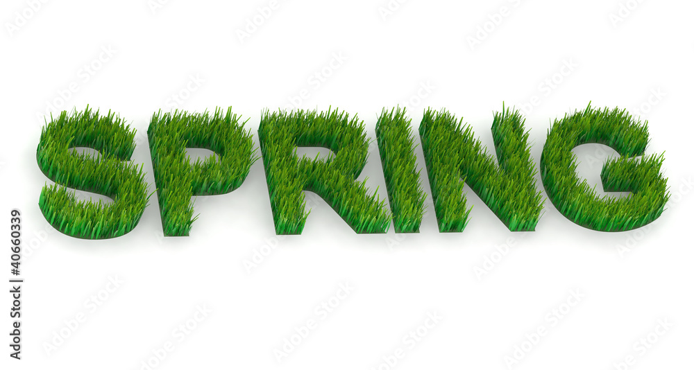 written spring with grass written spring with grass