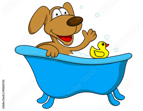Dog bathing