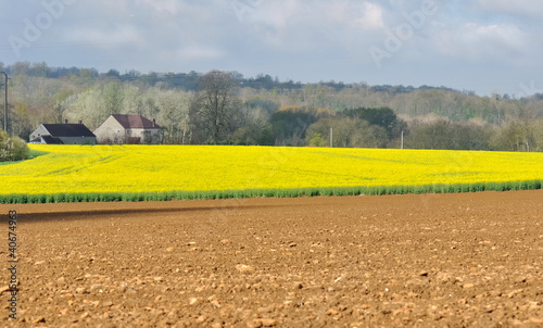 paysage agricole