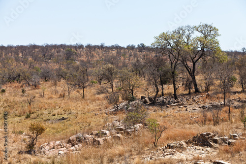 Rocky dry landscape with trees and bushes