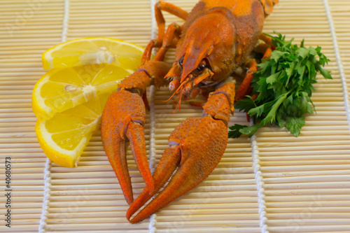 served river cancer