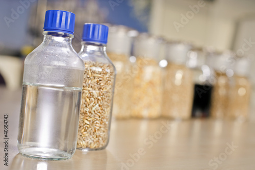 Fotografía Laborflasche mit Ethanol vor Flasche mit Gerste