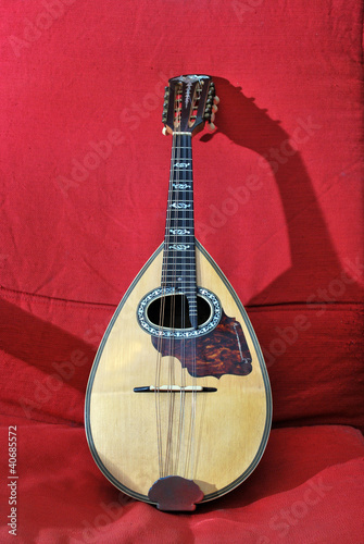 mandolino
