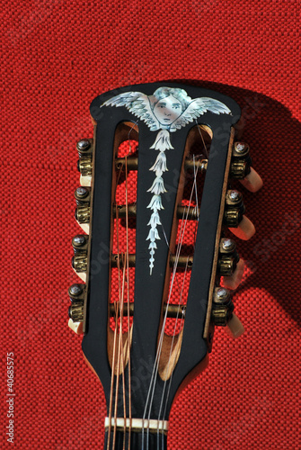 headstock of the mandolino