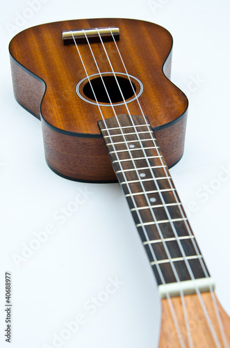 ukulele Hawaii guitar style