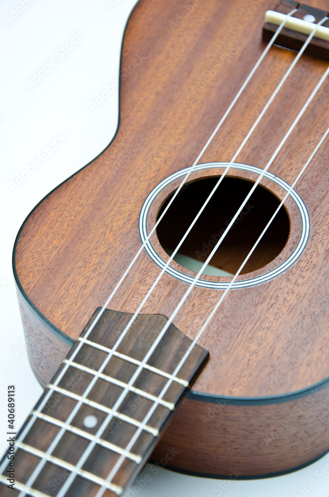 Obraz premium ukulele Hawaii guitar style