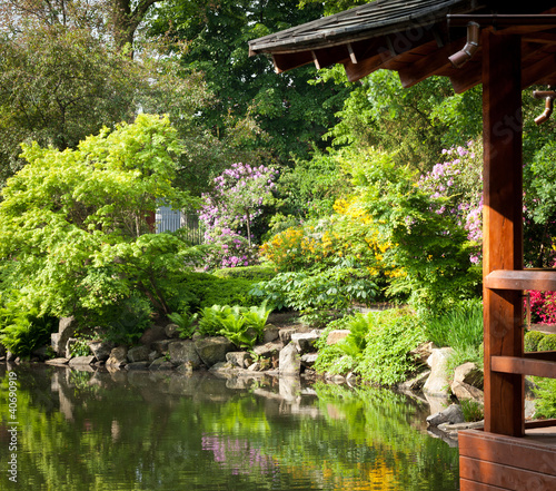 Garden full of flowers