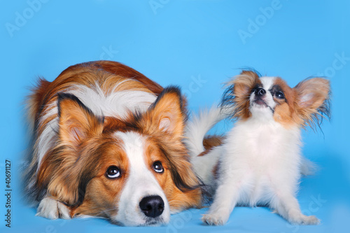 big and small
