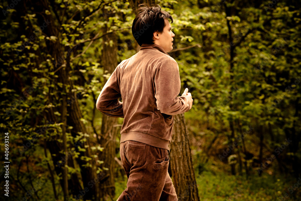 jogging through wood jogging through wood
