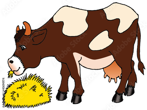 vache