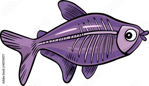 cartoon x-ray fish