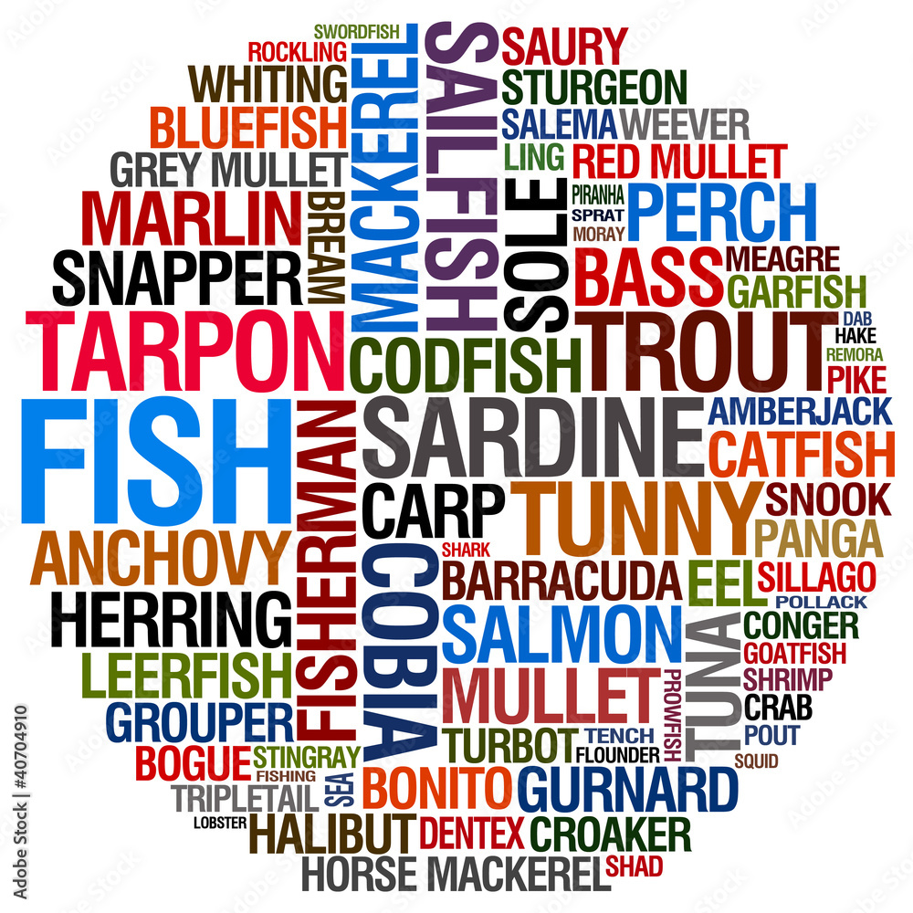 fishes fishes