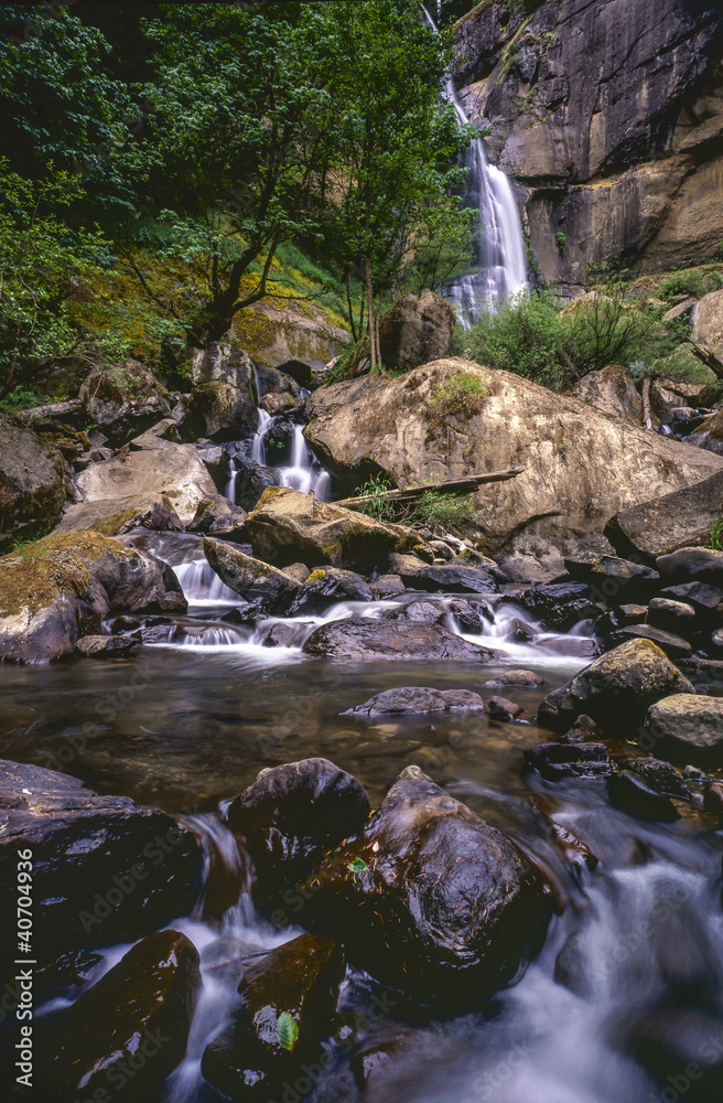 Fototapeta premium waterfall Silver Falls
